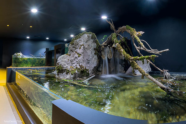 Aquatika - Slatkovodni akvarij Karlovac