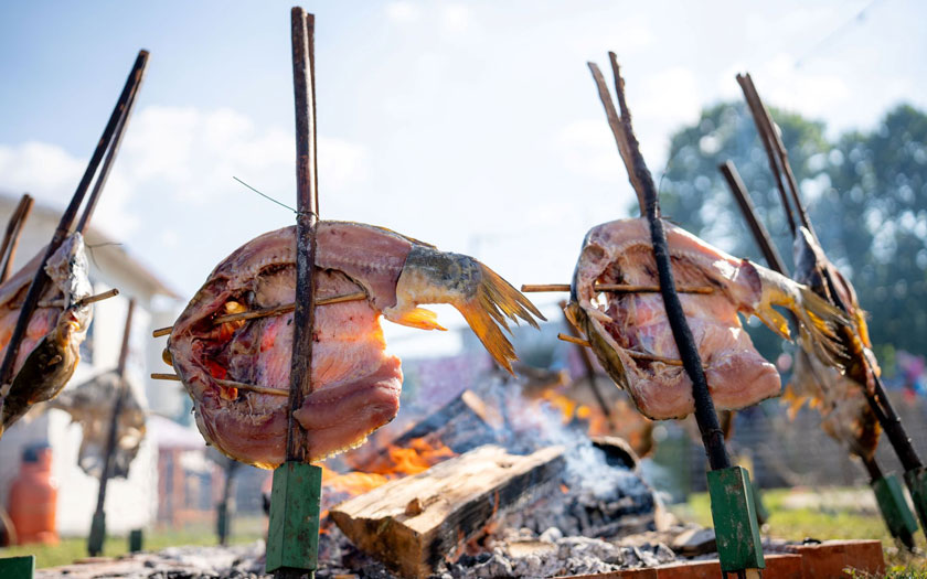 Dunav Fest arhiva