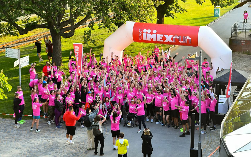 IMEX run - IMEX 