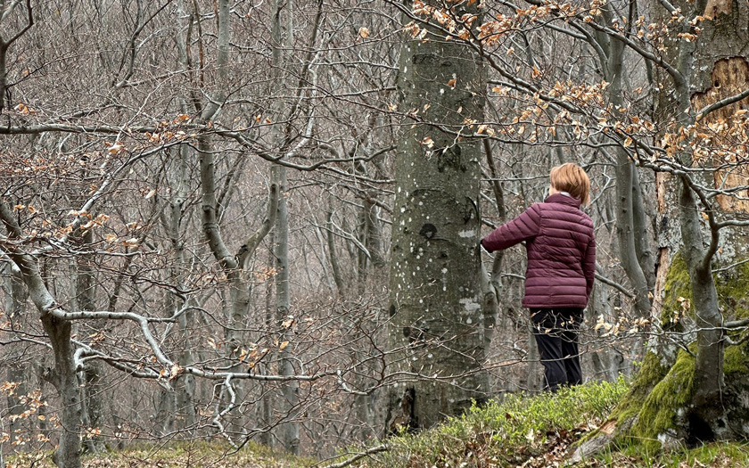 &Scaron;umska kupka, Radoboj
