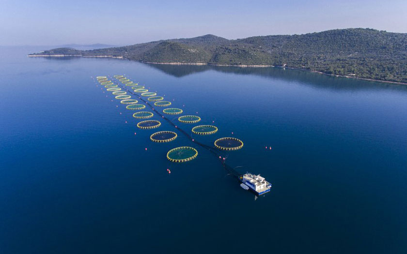 Cromaris uzgajalište Cromaris uzgajalište