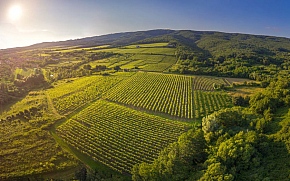 Pet priča koje možda niste znali o Požeško-slavonskoj županiji