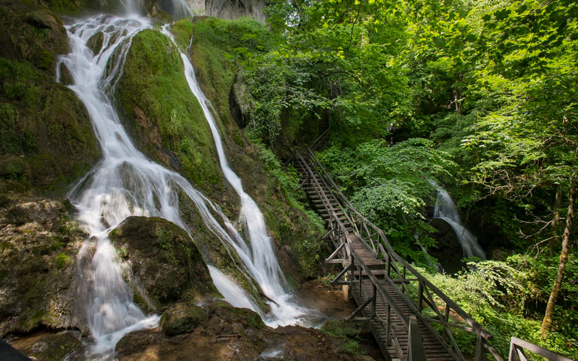 Park šuma Jankovac