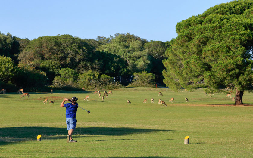 Golf na Brijunima