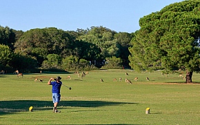 Brijuni: mala škola golfa za nesvakidašnji timski doživljaj 