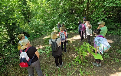 Teambuilding program koji kombinira terapiju šumom i doživljaj rudarskog naslijeđa