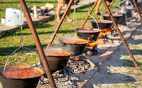 Dunav Fest 2025. donosi atraktivnu vukovarsku fišijadu