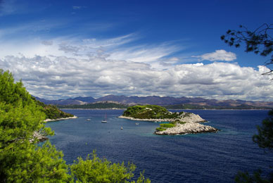 Mljet