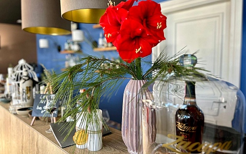 Boutique Hotel Esplanade - Crikvenica - Restoran-Bar