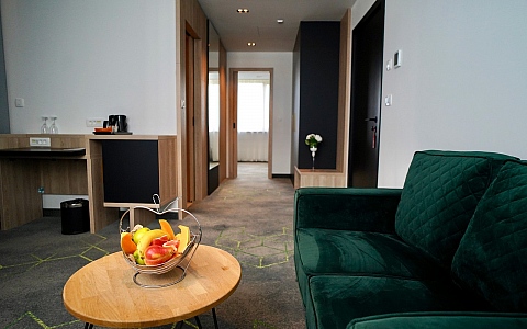 Hotel Diplomat - Zagreb - Sobe-Apartmani