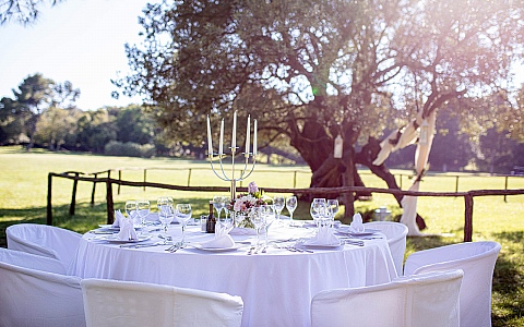 Hotel Istra - Nacionalni park Brijuni - Brijuni - Održana događanja